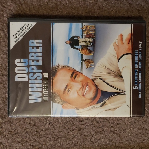 Dog training DVDs - Picture 2 of 5